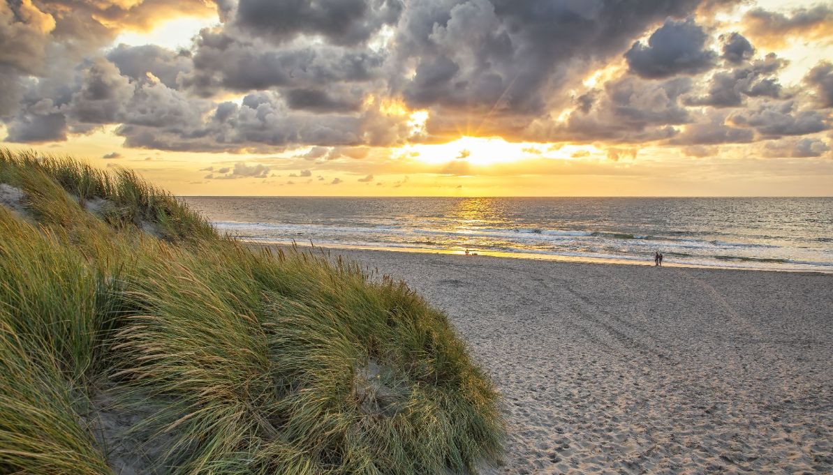 Natuurgebied waalenBurg texel